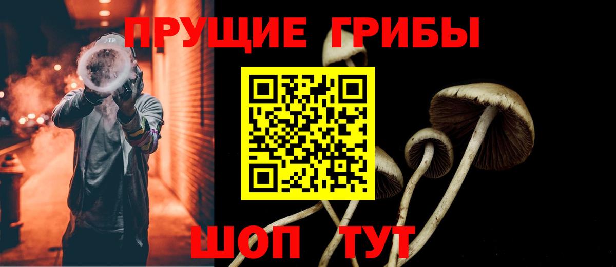 купить   Вход с VPN  Усинск  Псилоцибиновые грибы Psilocybine cubensis 
